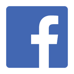 Facebook logo for festival economics post