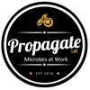 Propagate Logo