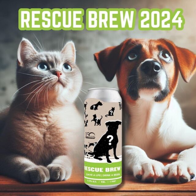Have you entered your dog or cat in this year’s Rescue Brew Spokespet Contest? You’ve got 4 more days to do so! 
We’ve partnered with Charleston Animal Society is partnering with Commonhouse Aleworks to give you the chance to prove your pet is the cutest and deserves a spot on a beer can! Enter your cat or dog today at CharlestonAnimalSociety.org/RescueBrew for their chance to be one of the two Spokespets starring on the cans of Commonhouse’s 2024 Rescue Brew. Just upload your favorite
picture, write a short bio of why your pet deserves to be the next Spokespet, and fundraise to help less fortunate animals find homes of their own.
The nomination phase will close at 11:59 PM Sunday April 21st, before the voting phase kicks off from the 22nd through May 20th. During the voting phase, competitors will fundraise in a race to secure the #1
spot and their chance to have their pet star on the next can of Rescue Brew! Every $1 raised counts as 1 vote, so be sure to make a donation when you nominate to kick off your campaign! Special thanks to our partners at Southern Crown Partners (@scpdist), Live 5 News (@live5news),
103.5 WEZL (@1035wezl), Y102.5 (@y1025charleston) and Charleston City Paper
(@chascitypaper) for making this lifesaving contest possible!

.
.
.
.
.
#adopt #rescue #shelter #shelterdog #dog #dogsofinstagram #brewery #brew #charleston #chs
#adoptdontshop #rescues #rescuedogsofinstagram #breweries #lowcountry #shelterdogsofinstagram
#chas #southcarolina #sc #beer #lowcountry #lowcountryliving #pet #brewerydog #cat #cats
#catsofinstagram #sheltercat #rescuecat