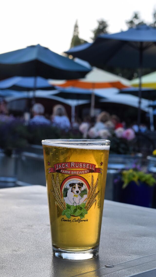 Thanks to everyone that came out & attended the Brooks Brothers Benefit Concert! We definitely came together as a community to help this local family. We are proud to been a part of this event. Shout out to all the great live music bands that played. We hope to see you back at the brewery sometime. Until then cheers 🍻
.
.
#jackrussellfarmbrewery #jackrussellbrewery #applehillofficial #applehill #visitapplehill #applehilltourguide #sacbeer #camino #craftbeer #sacbeerenthusiasts #handcraftedbeer #cider #hardcider #visitgoldcountry #visiteldoradocounty #eldoradocounty #appleblossom #brewery #brewerylife #localbusiness #foodtruck #visiteldorado #visiteldoradocounty