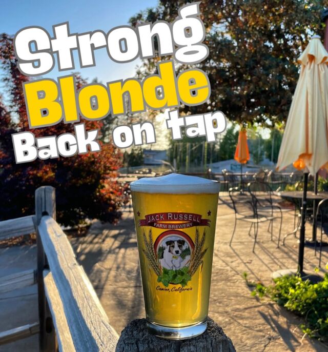 Strong Blonde is back on tap at the brewery! Open daily join us for a cold one during this warm weather. 🍻
.
.
#jackrussellfarmbrewery #jackrussellbrewery #applehillofficial #applehill #visitapplehill #applehilltourguide #sacbeer #camino #craftbeer #sacbeerenthusiasts #handcraftedbeer