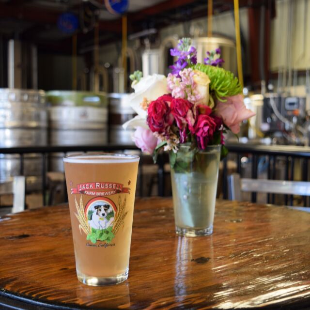 Happy Mother’s Day to all the amazing moms out there! Open 11-7 pm today with Little Cravings on-site making personal Pizzas. 😋 
.
.
#jackrussellfarmbrewery #jackrussellbrewery #applehillofficial #applehill #visitapplehill #applehilltourguide #sacbeer #camino #craftbeer #sacbeerenthusiasts #handcraftedbeer #cider #hardcider #visitgoldcountry #visiteldoradocounty #eldoradocounty #appleblossom #brewery #brewerylife #localbusiness #foodtruck #visiteldorado #visiteldoradocounty