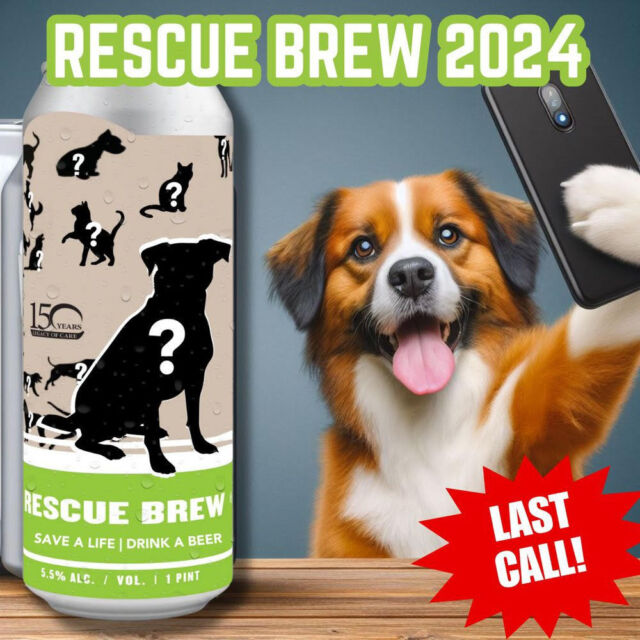 LAST CALL! We're in the final hours of voting to decide which dog and cat will be the faces of Charleston Animal Society's Rescue Brew made by us! The deadline to vote is 11:59pm TONIGHT Monday, May 20th. YOU decide the winners by scrolling through the entrants and reading their stories.  Go to the link in our bio to vote for your favorites now! 🐕 🐈 🍻