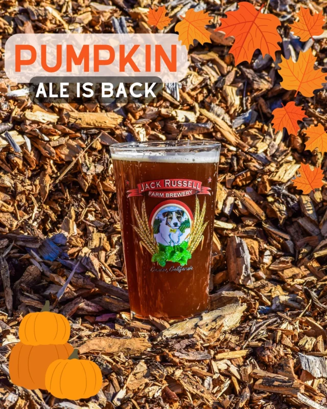 Pumpkin Ale is back on Tap! Also available in cans so grab a case or 4 pack to take home. 
.
.

#jackrussellfarmbrewery #applehillofficial #applehill #visitapplehill #applehilltourguide #sacbeer #camino #craftbeer #sacbeerenthusiasts #handcraftedbeer