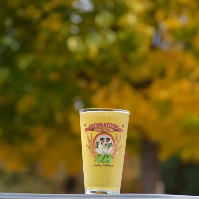 Nothing beats a delicious cider while enjoying the fall colors here on our brewery patio. Two food trucks onsite site this weekend, check out our stories for more info! 🍻